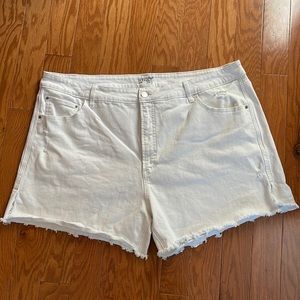 Terra & Sky Distressed Jean Shorts plus size‎